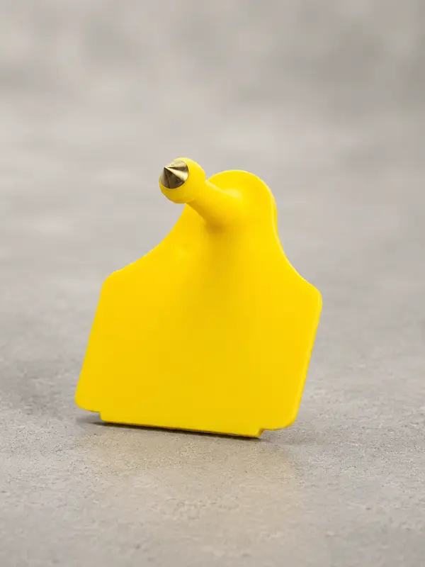 Boucle d'identification mâle small jaune, tige à pointe métallique