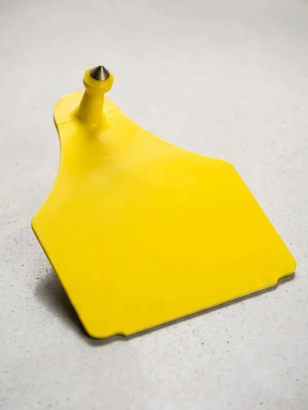 Boucle d'identification bovine mâle jaune, tige à pointe métallique