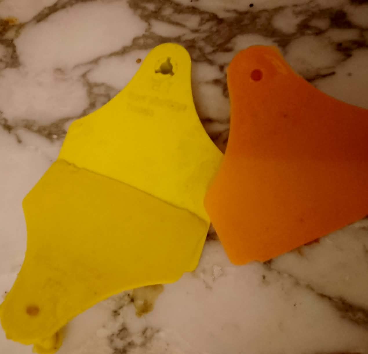 Boucles d'identification bovines jaune et orange, marquage laser UV visible